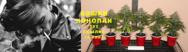 шишки Абдулино