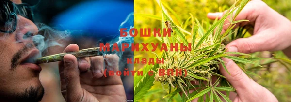 apvp Кукмор