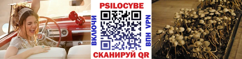 Псилоцибиновые грибы мухоморы  закладки  Шиханы 